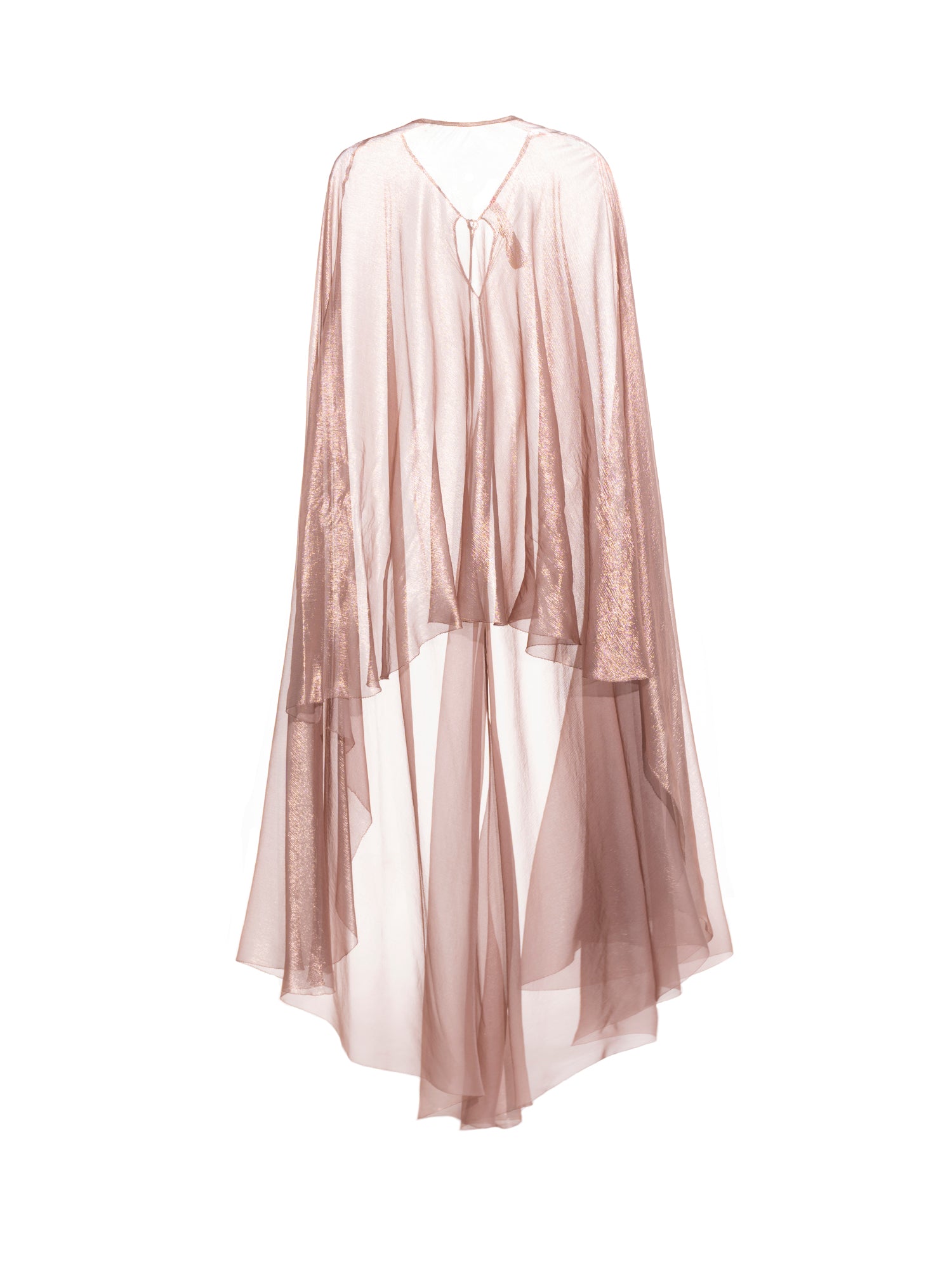 Maria Lucia Hohan gown